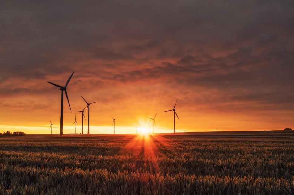 Free Image of Wind Turbines on Farmland  