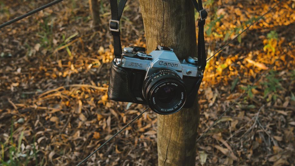 Free Image of Canon Camera  