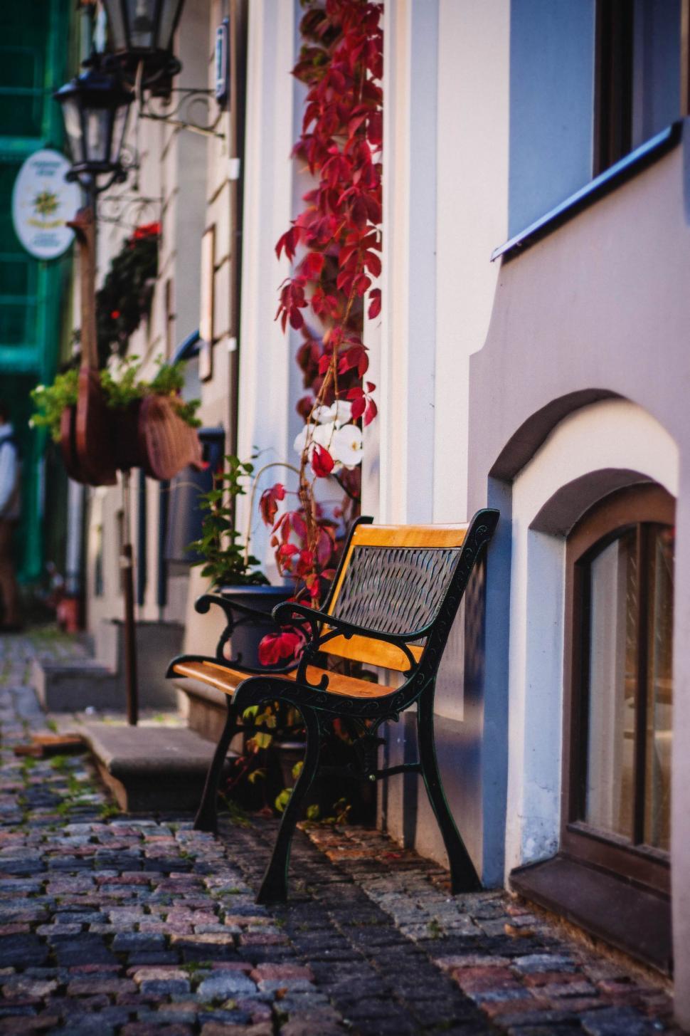 Free Image of Metal Bench and Red Flowers  
