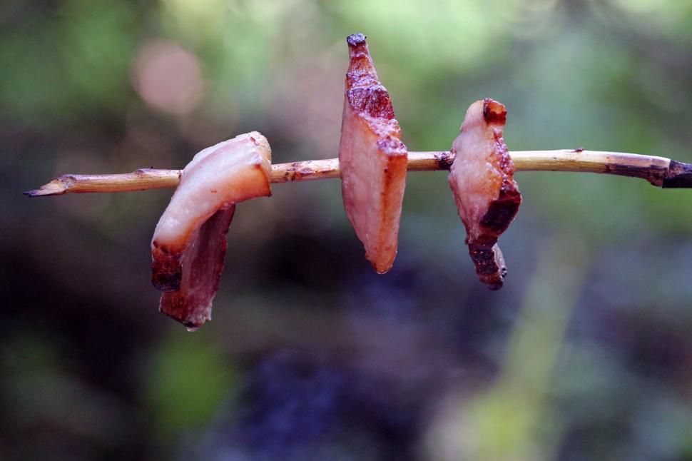Free Image of Meat on stick  