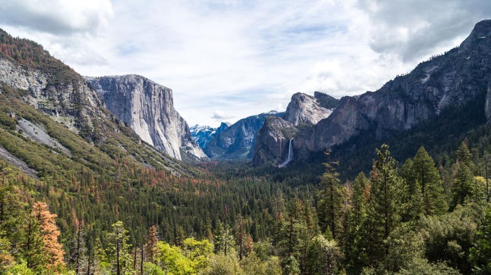 Free Image of Mountain Range With Trees  