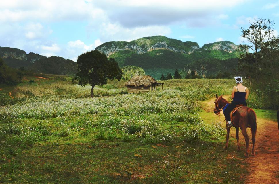 Free Image of Woman on horse  
