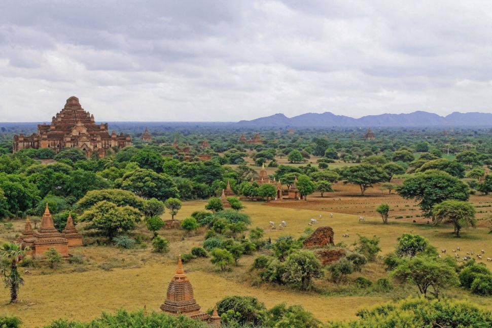 Free Image of Temples in Forest  