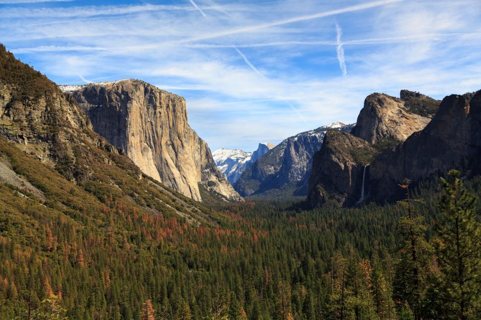 Free Image of Forest and Mountains  