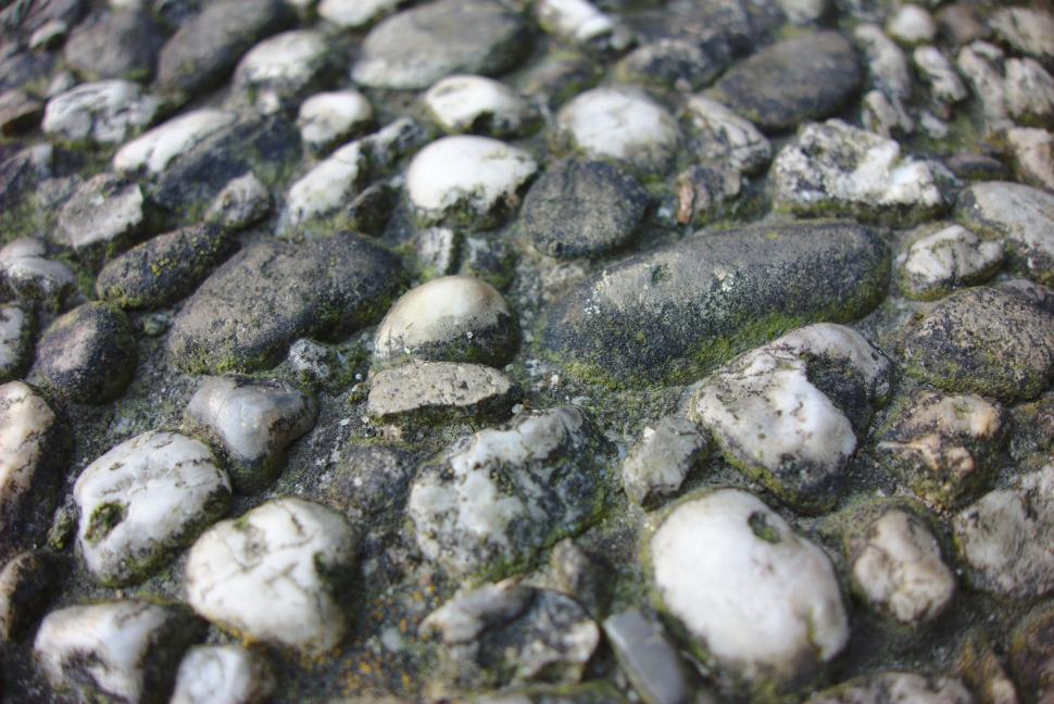 Free Image of Cobblestone 