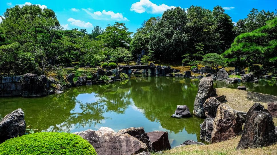 Free Image of Green Water Pond and Trees 
