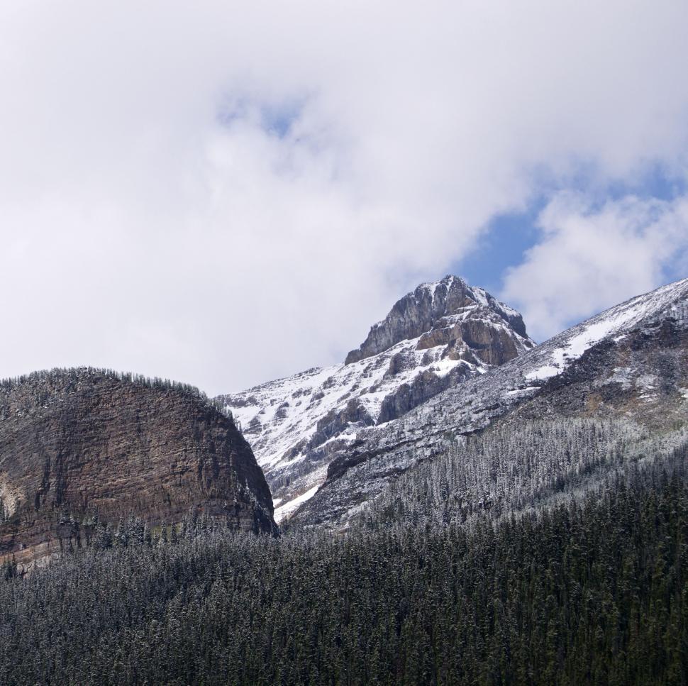 Free Image of Trees and Snow Mountains  