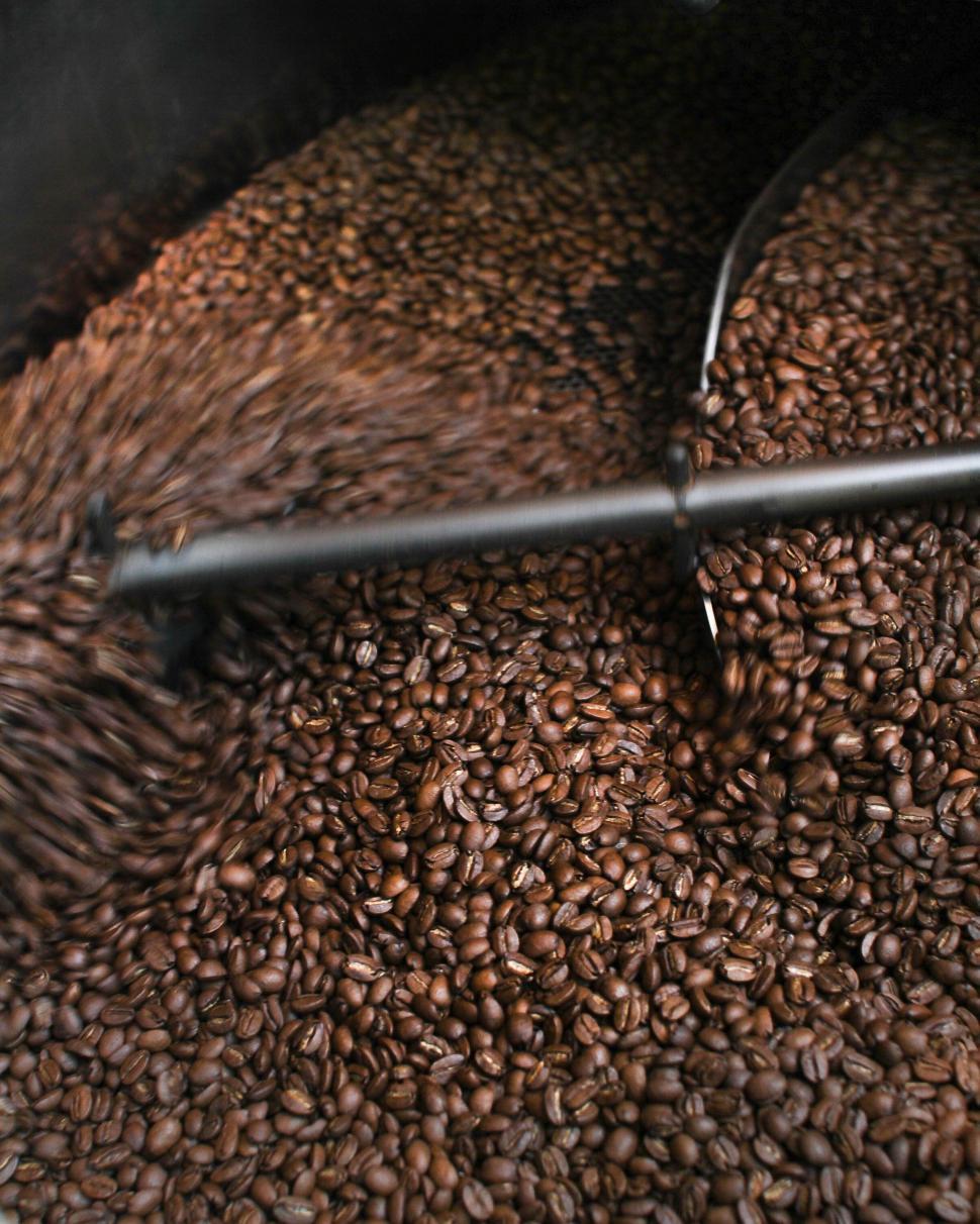 Free Image of Coffee Beans 