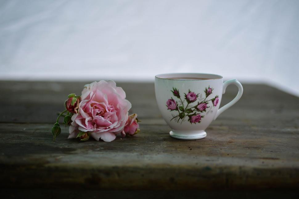 Free Stock Photo of Tea Cup and Flower Download Free Images and Free