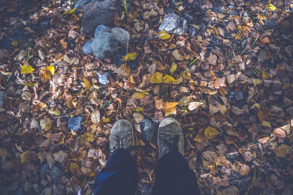Free Image of Feet on Dried Leaves  