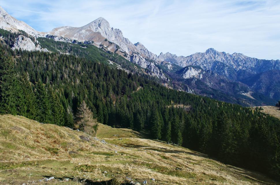 Free Image of Trees and Mountains  