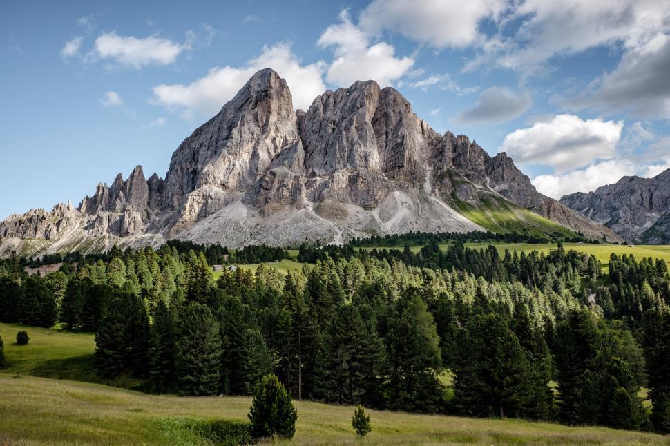 Free Image of Rocky Mountain and Trees  