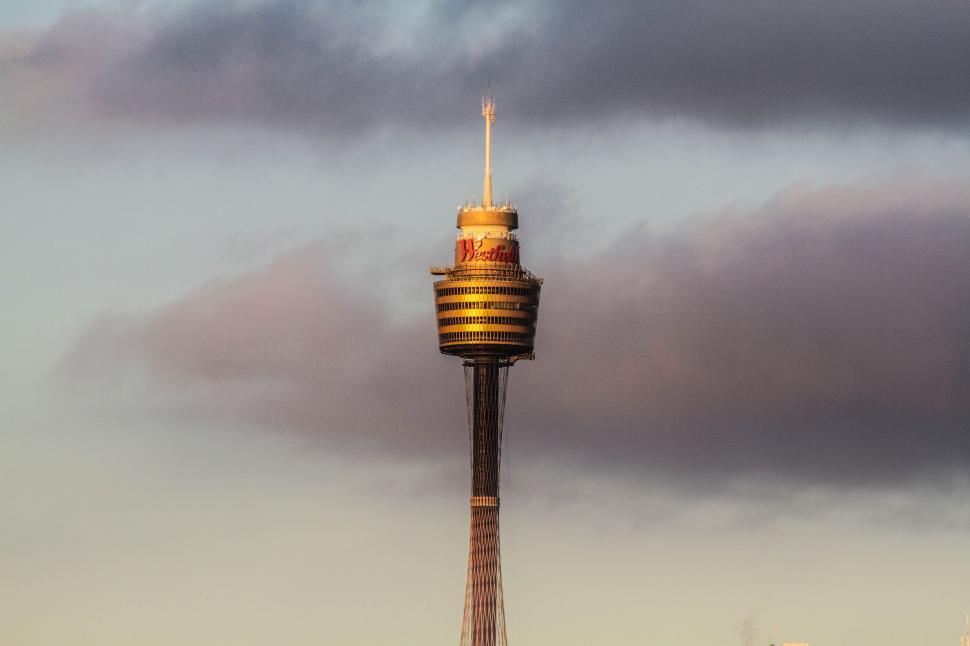 sydney tower at night