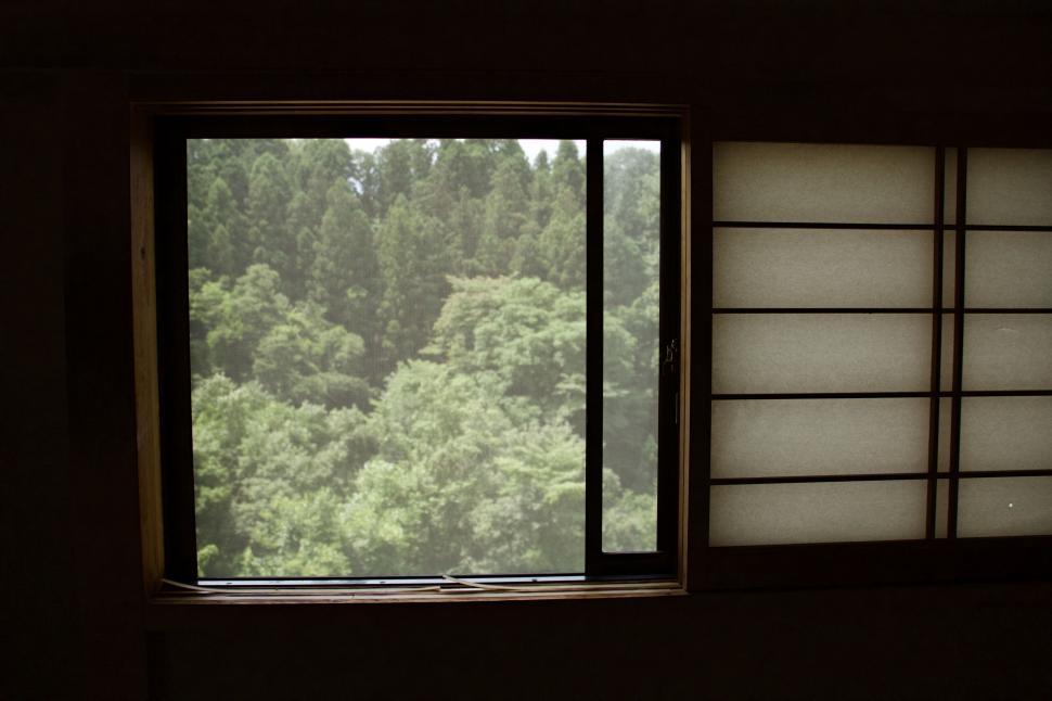 Free Image of Fir Trees From Window  