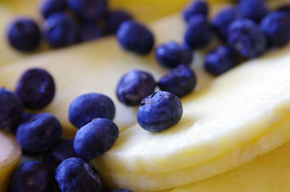 Free Image of Blueberries 