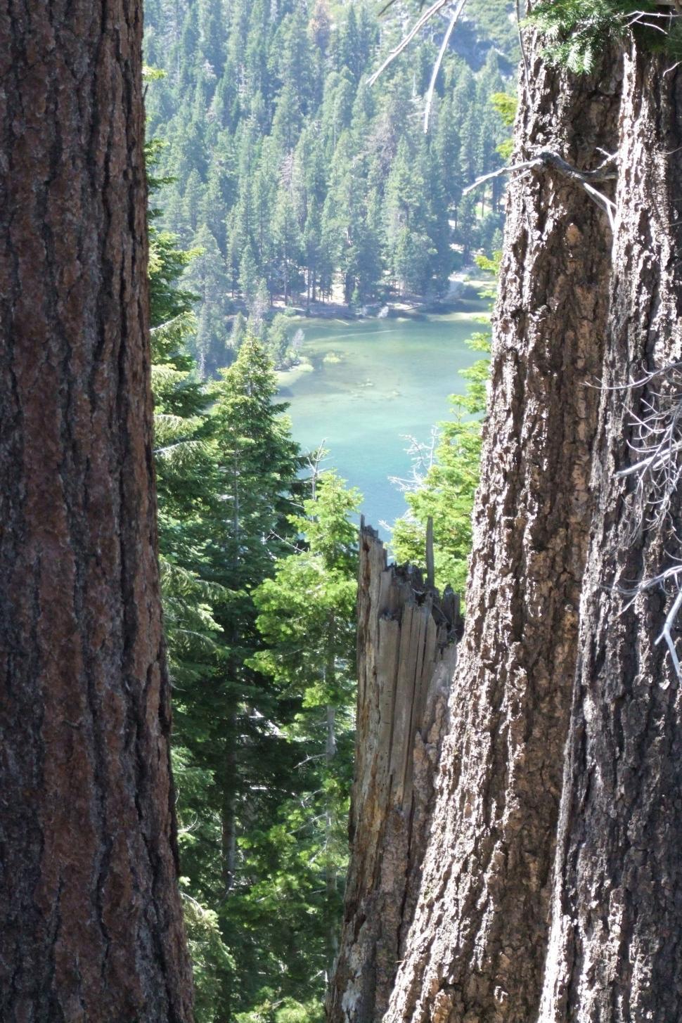 Free Image of California Landscapes 