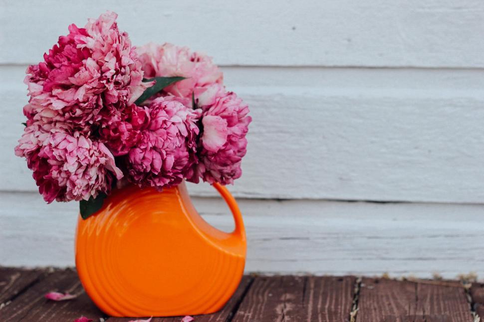 Free Image of Flowers in orange flower pot  