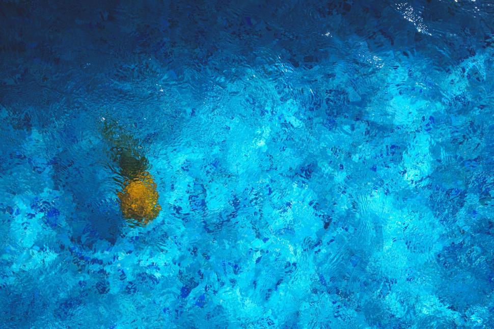 Free Image of Pineapple in swimming pool  