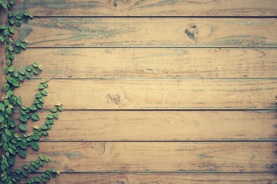 Free Image of Leaves on planks  