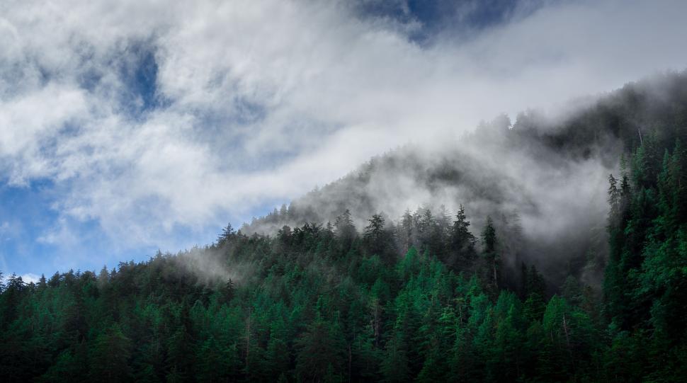 Free Stock Photo of Fog over mountains | Download Free Images and Free ...