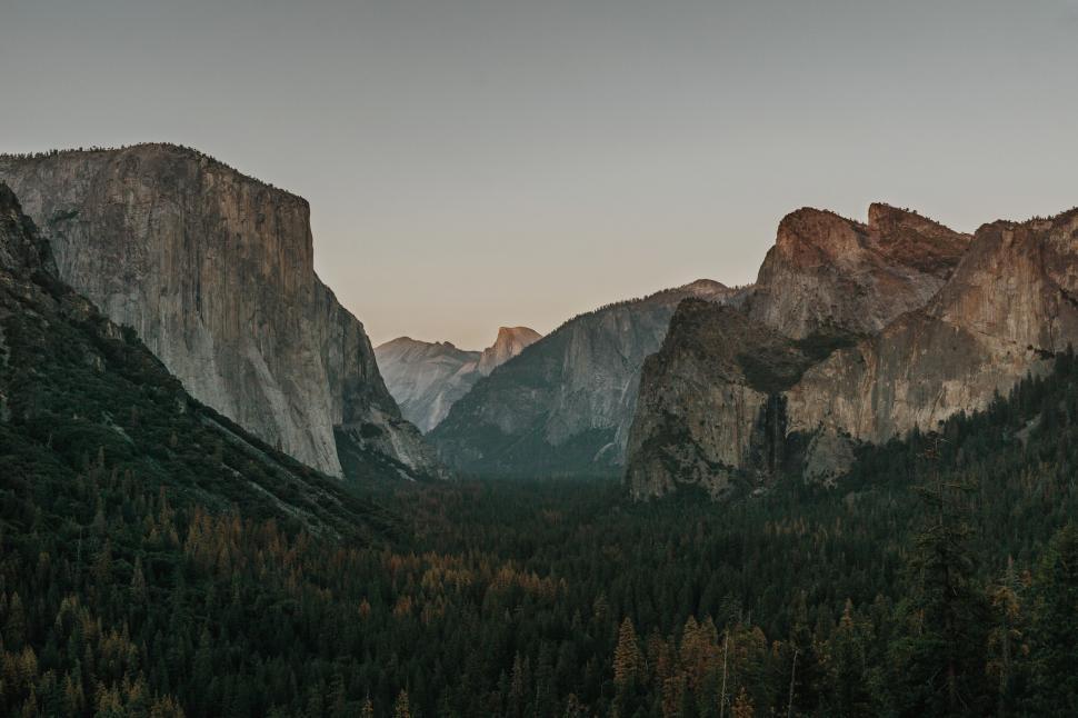 Free Image of Fir Trees and Rocky Mountains  