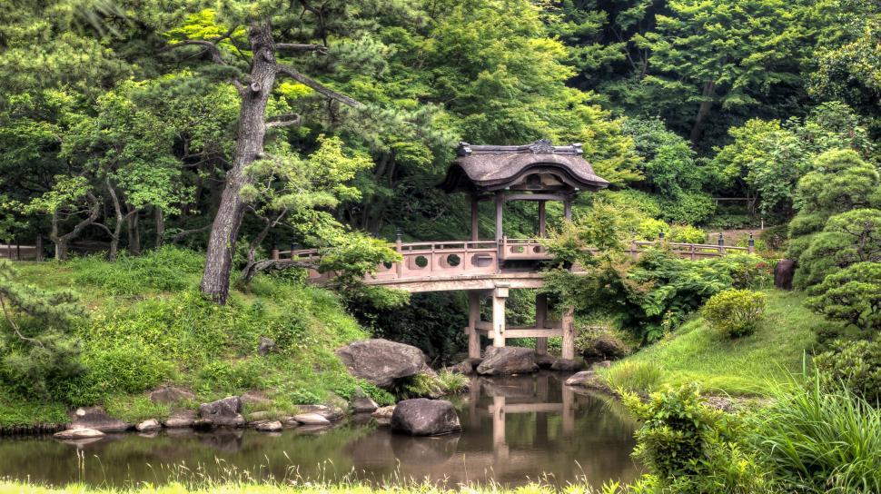 Free Image of Bridge in Forest  