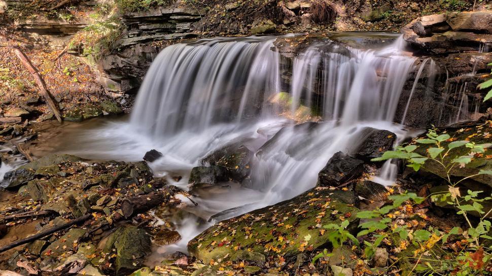 Free Image of Waterfall in Forest  