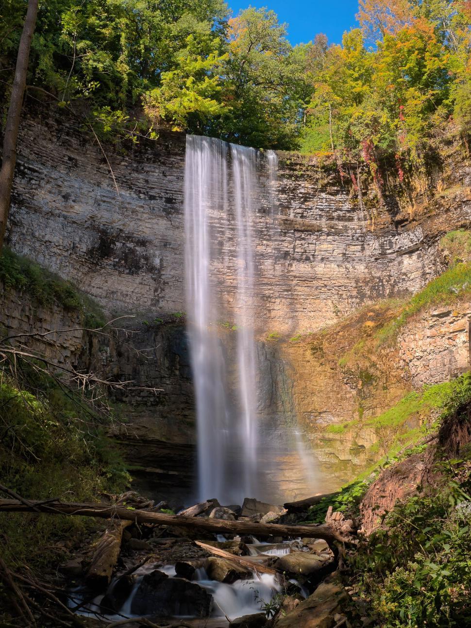 Free Image of Waterfall and trees  