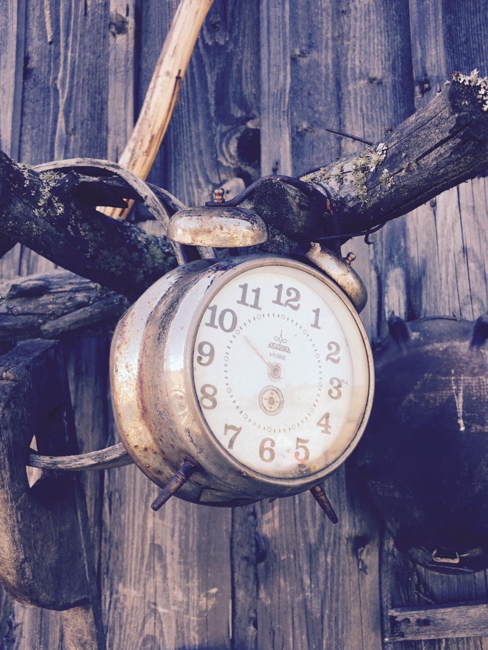 Orange alarm clock isolated on tree trunk. The clock set at 9 o