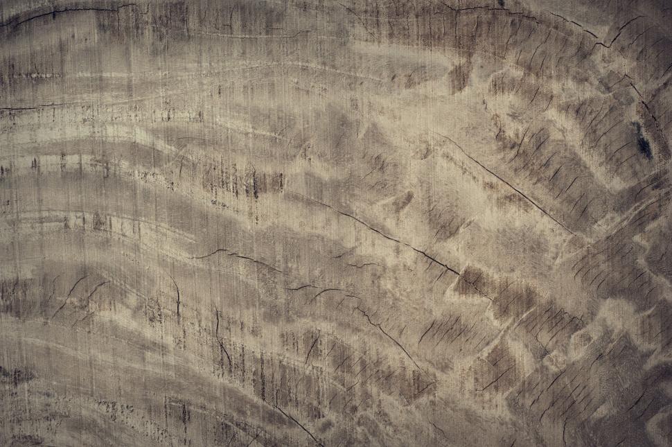 Free Image of Cut Tree Stump - background  