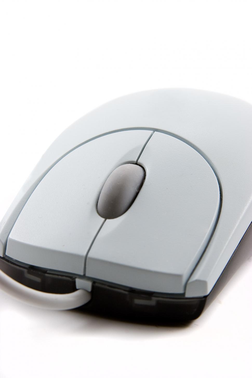 Free Image of Islolated on white 