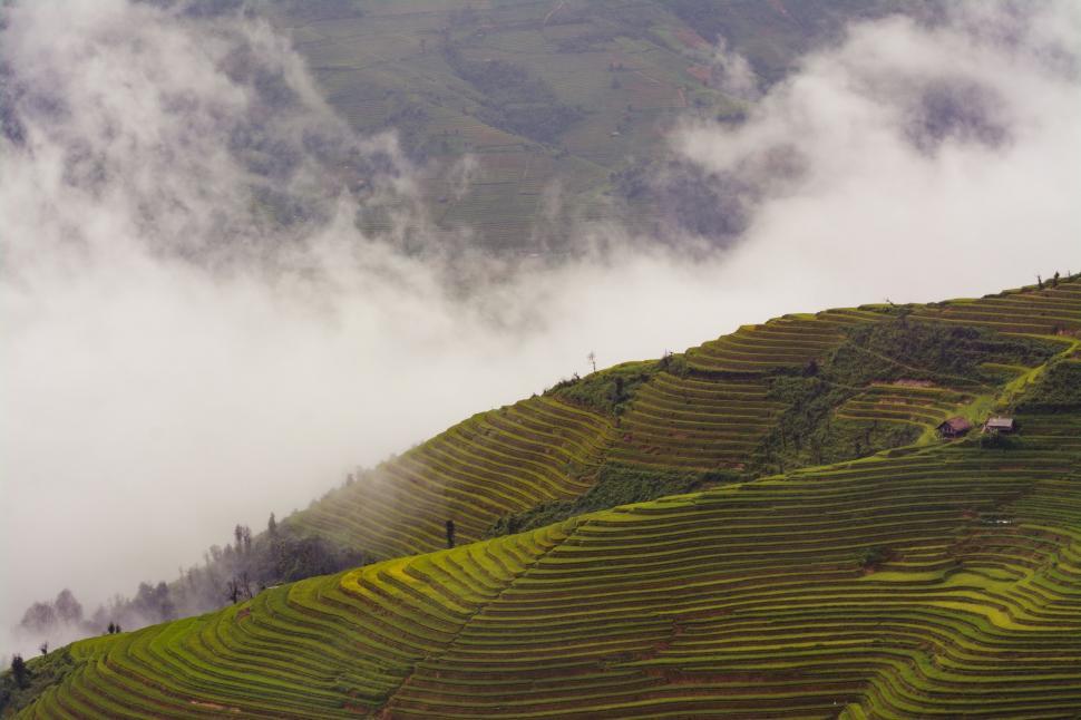 Terrace farming steep hi-res stock photography and images - Alamy