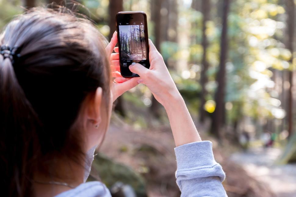 Free Image of Taking pictures of trees with phone 