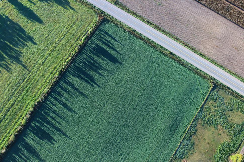 Free Image of Grassland from above 