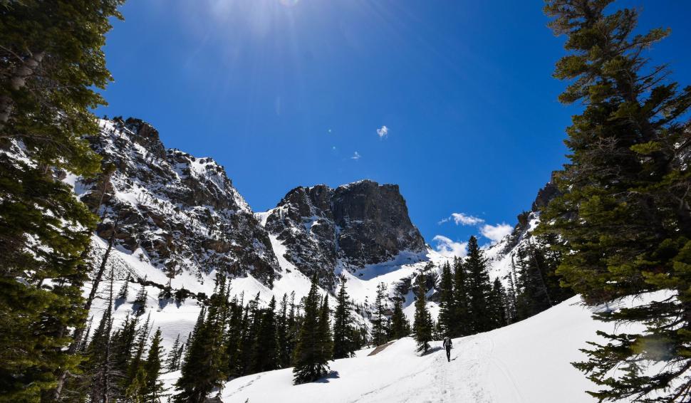 Free Image of Snow mountains and fir trees  