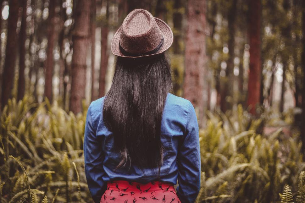 Free Stock Photo of Backside view of long black hair woman with trees |  Download Free Images and Free Illustrations