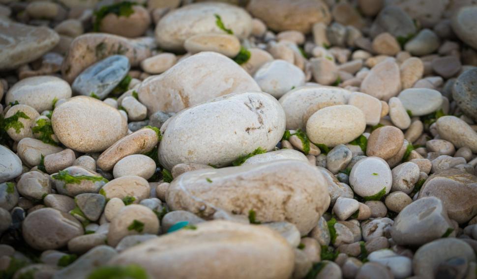 Free Stock Photo of Beach Rocks | Download Free Images and Free ...