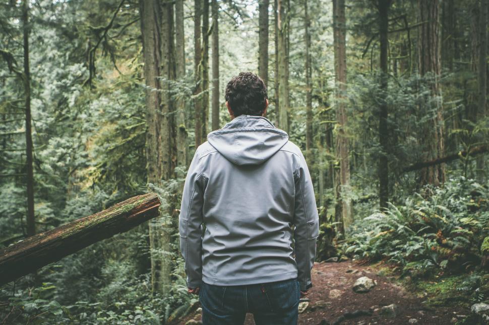 Free Image of Backside view of man in forest  