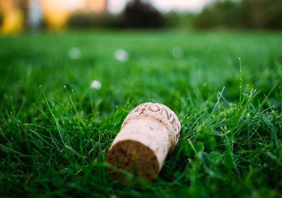Free Image of Wine cork 