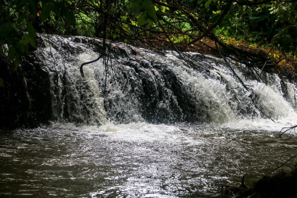 Free Image of Forest Waterfall  