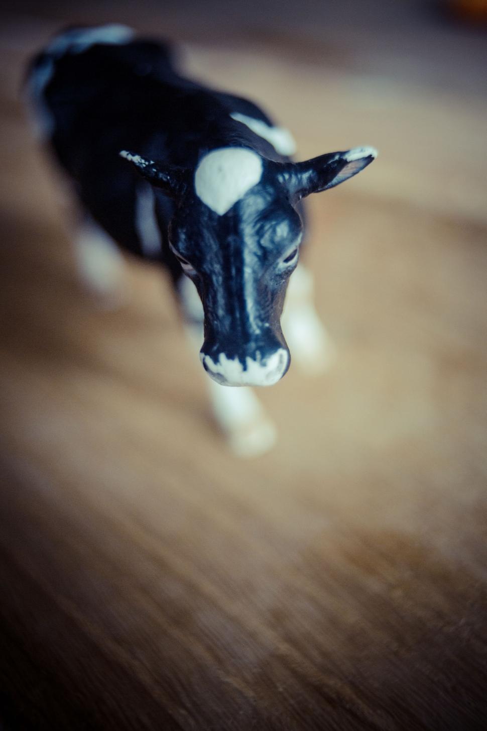 cow toy online