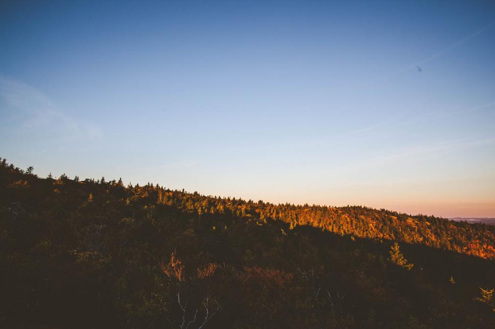 Free Image of Mountain Trees With Sky  