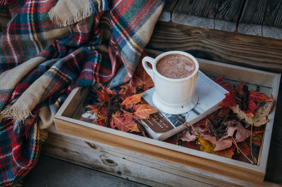 Free Image of Coffee and Maple Leaves  