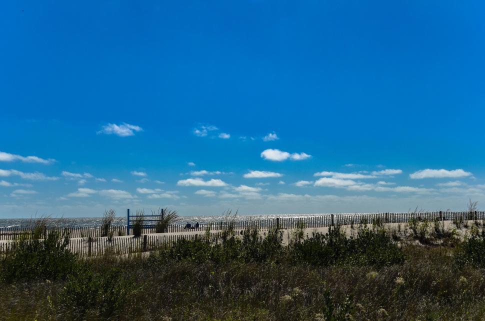 Free Image of Fence and Grass With Ocean 