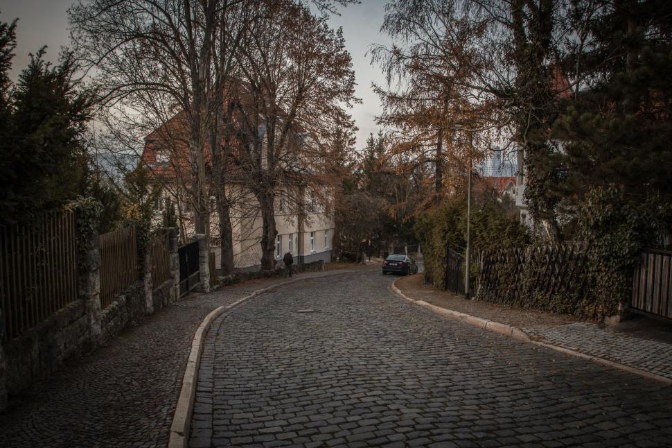 Free Image of Footpath and autumn trees with evening sky  