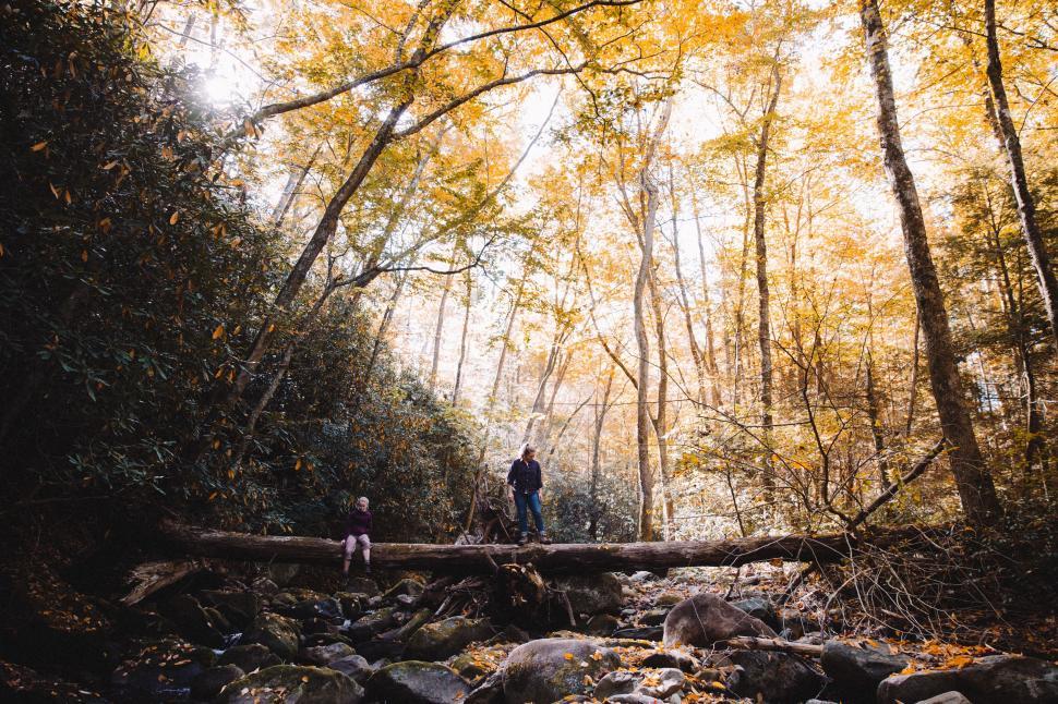 Free Image of Two Women Friends in Forest 