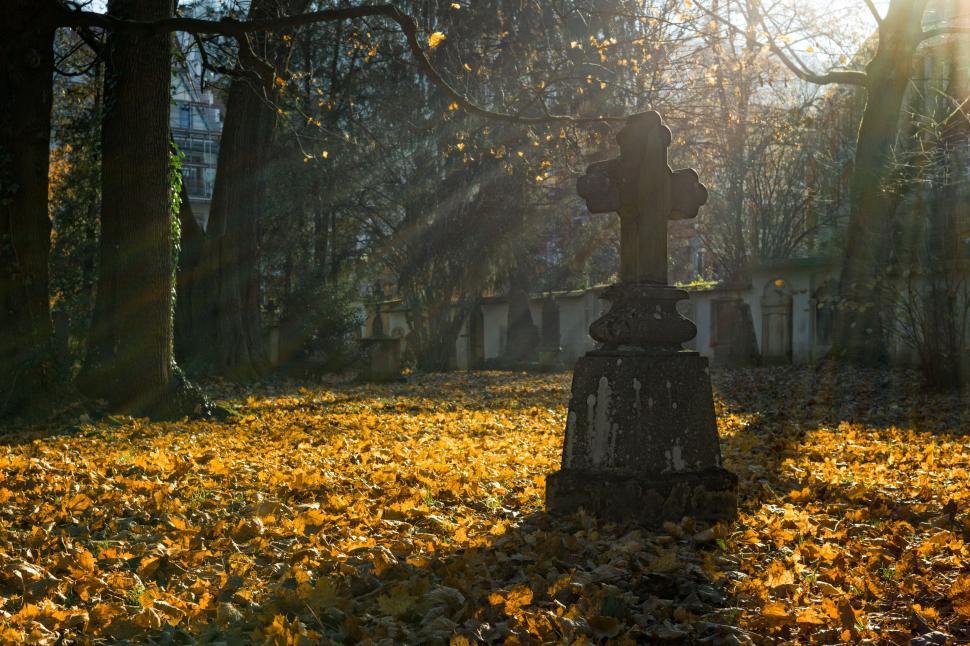 Free Stock Photo of Grave Cross | Download Free Images and Free