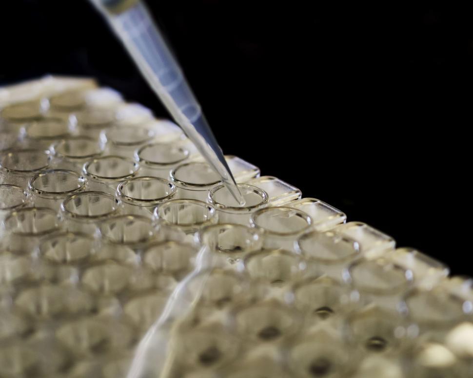 Free Stock Photo of Micro-pipette | Download Free Images and Free ...