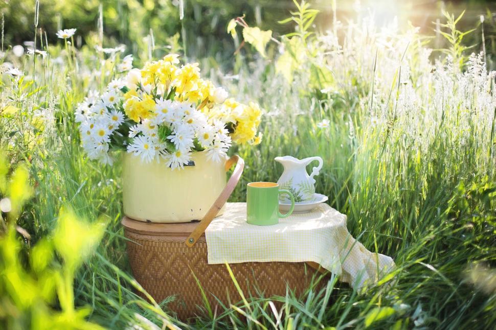 Free Image of Wicker Picnic Basket With Tea Cup in Daisy Field 