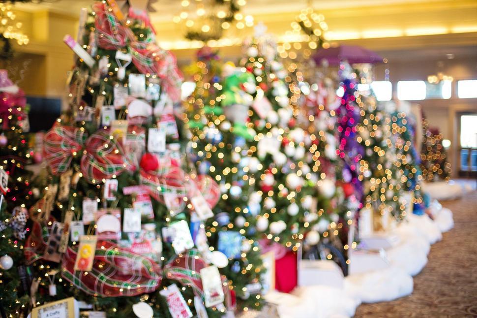 Free Image of Christmas trees  